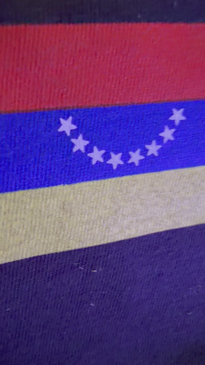 VENEZUELA WORLD CHAMPIONS LAMP
